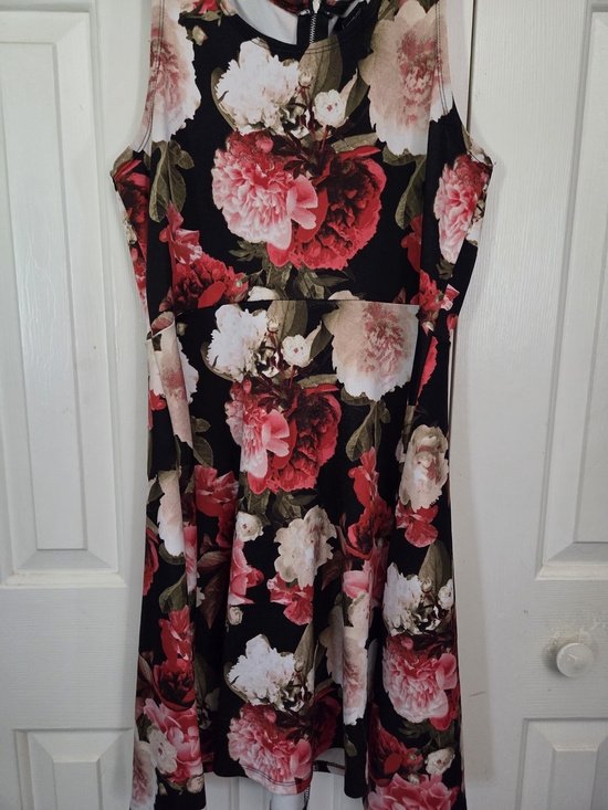 Rue21 Dresses & Skirts - Rue21 Black Floral Fit & Flare Dress with Pink and Red Blooms